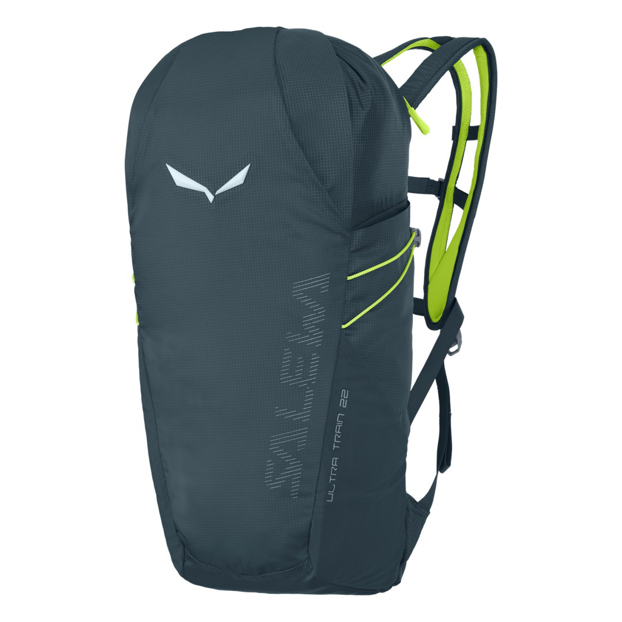 Mochilas Salewa Ultra Train 22L Cinzentas/Azuis 134VMDSRH